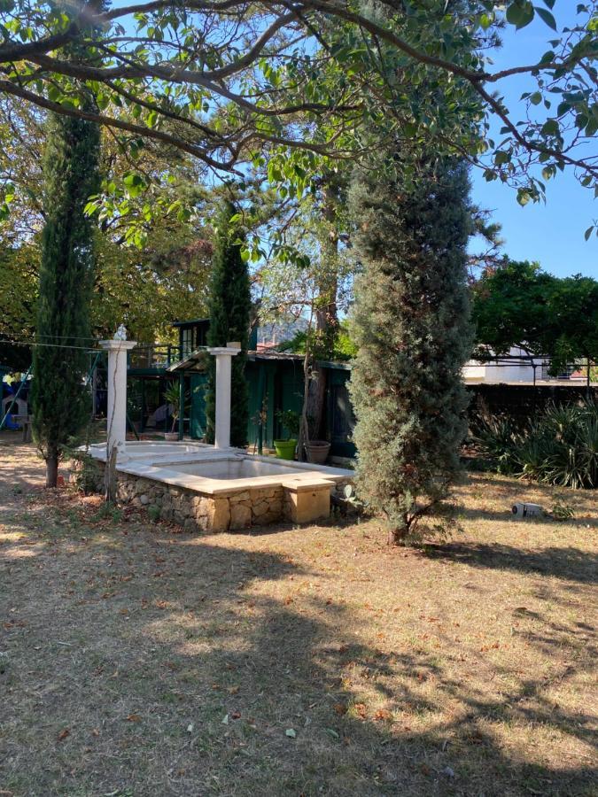 Chambres Privees Dans Maison Avec Grand Parc Et Piscine Proche Via Rhona Andancette エクステリア 写真